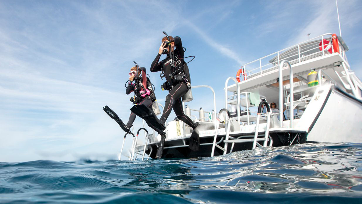 Dive Schools with Certification